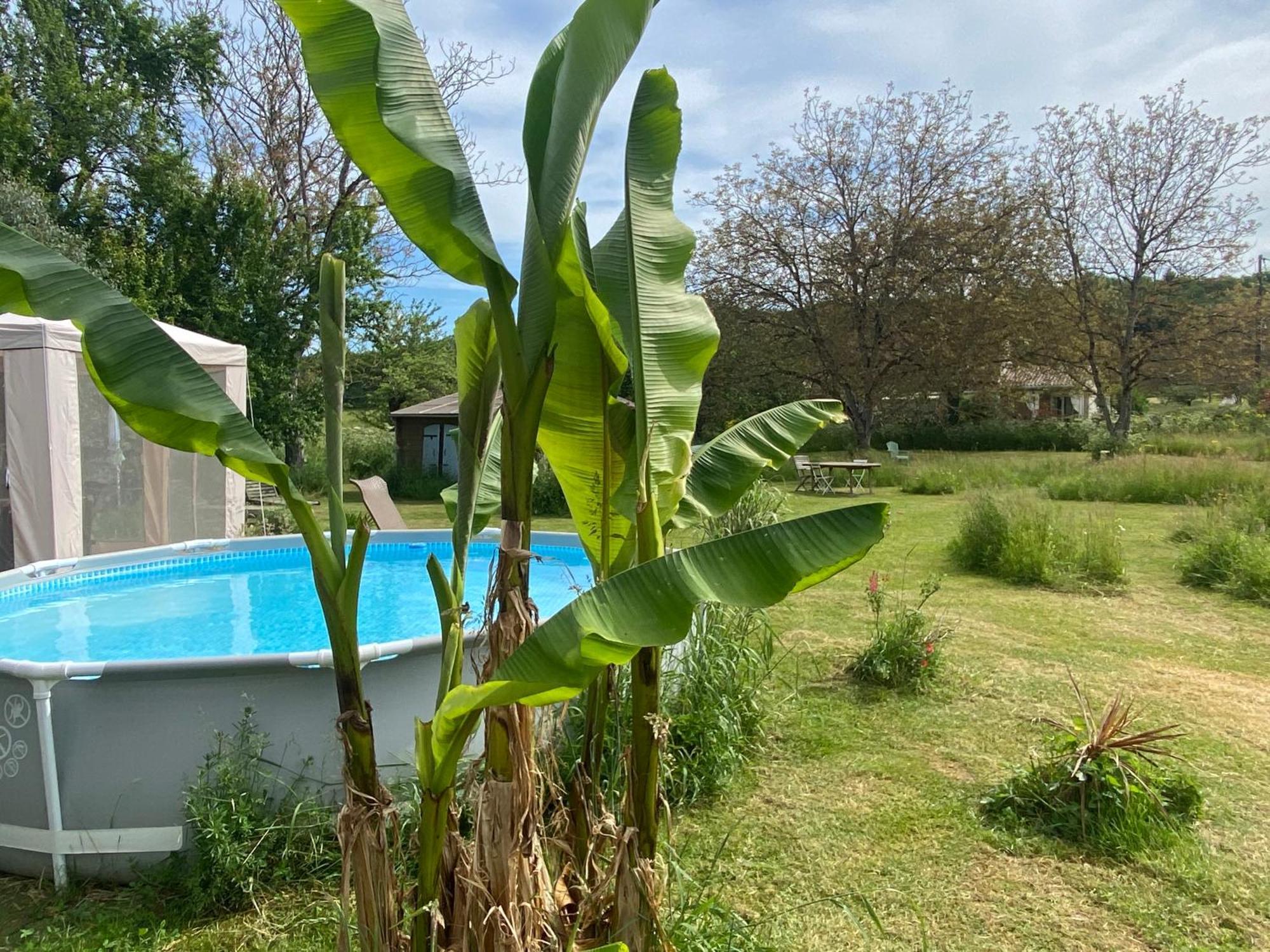 Gite Wildflower Lane Valojoulx Ngoại thất bức ảnh